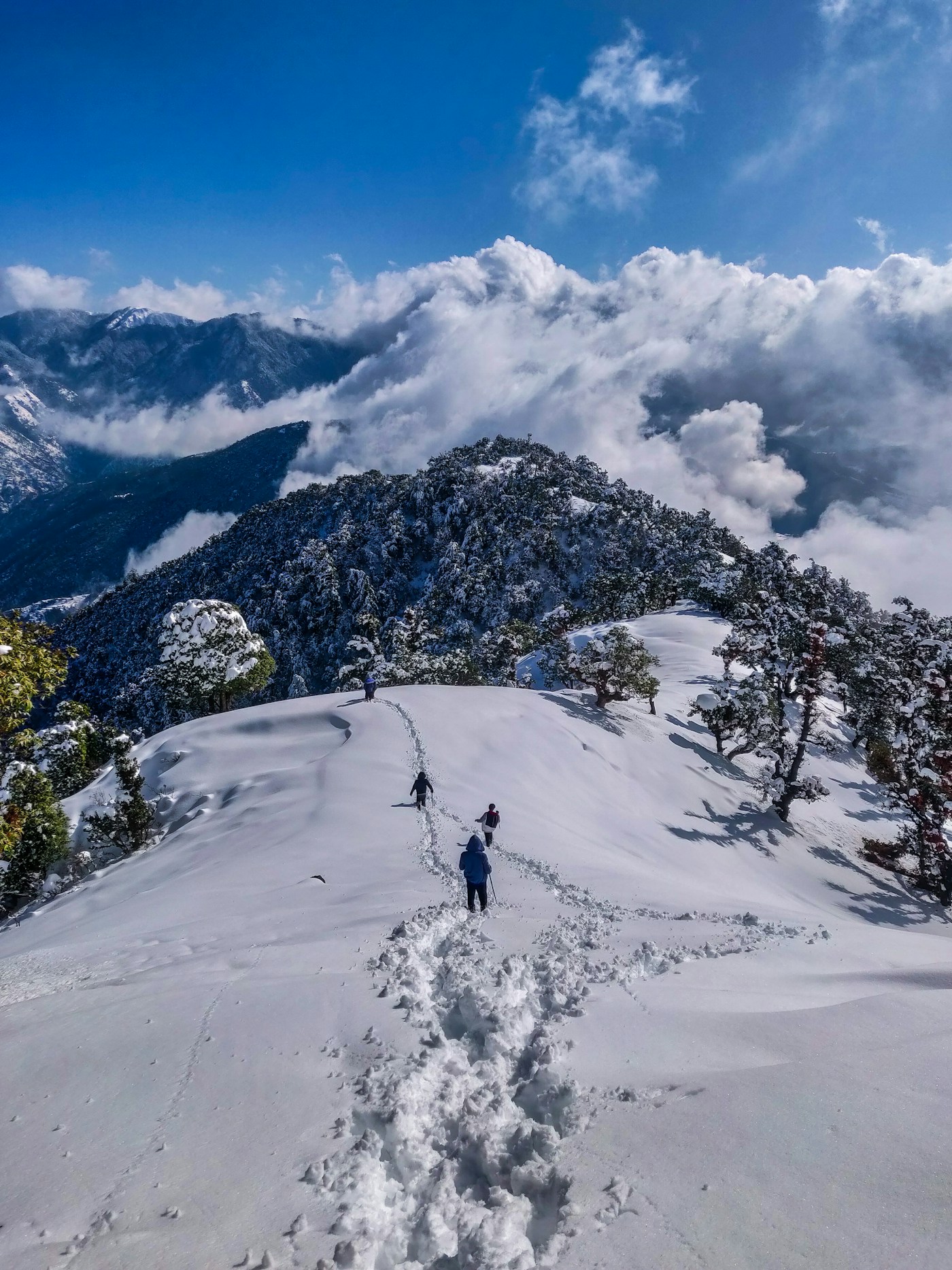 Hill retreat — Manali